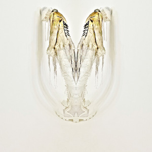 #モーニングコーヒー