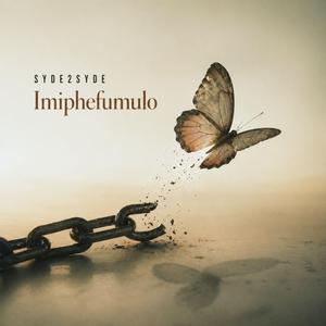 Imiphefumulo
