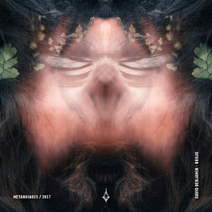 Brujo (Numen's Namaste Version)