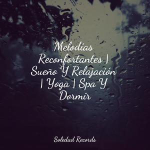 Hamaca En Los Árboles