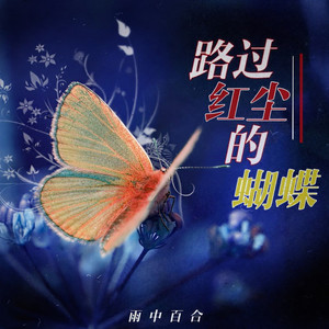 路过红尘的蝴蝶 (DJ默涵版)