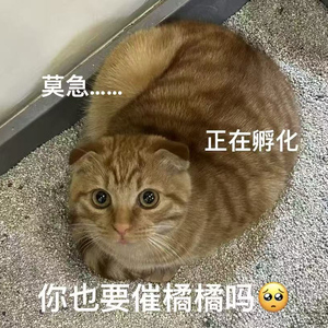 眉如远山_翻唱.wav