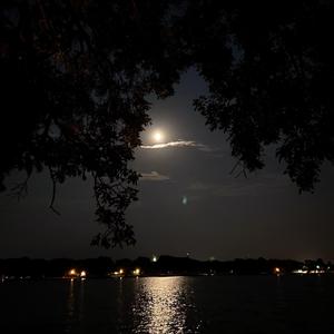 আমার বাঘ (My Tiger)