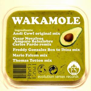 WAKAMOLE (FREDDY GONZALEZ BCN TO IBIZA MIX)