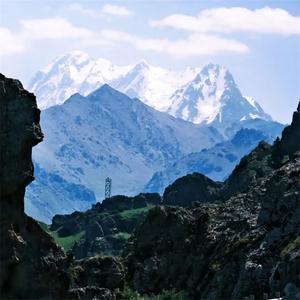 权衡利弊的选择