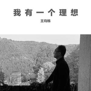 我有一个理想