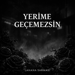 YERİME GEÇEMEZSİN