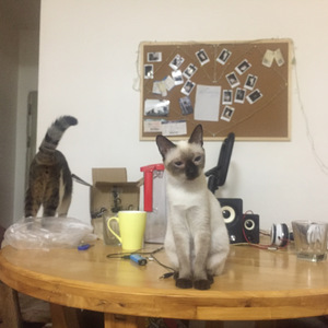 90年代犯罪电影