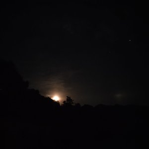 月光（秦霄贤）