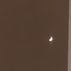 as i live, as i die(conclusion)