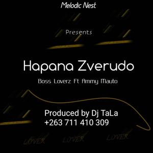 Hapana Zverudo (feat. Ammy Mauto)