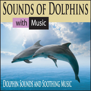 Underwater Dolphin Sounds With Music