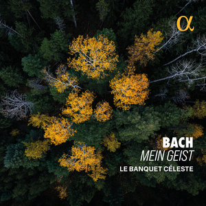 Mache dich, mein Geist, bereit, BWV 115: I. Coro. Mache dich, mein Geist, bereit
