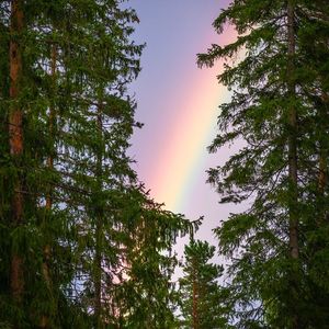 【FREE】彩虹（Pop Rap Type Beat)