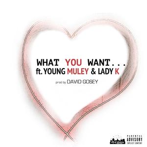 What You Want (feat. Young Muley & Lady K)