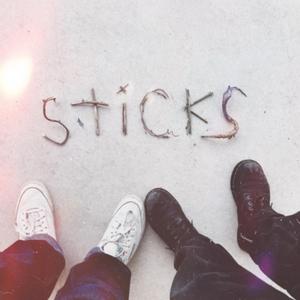 sticks (feat. austyn with a y)
