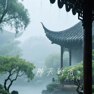那天的雨