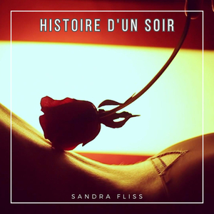 Histoire d'un soir
