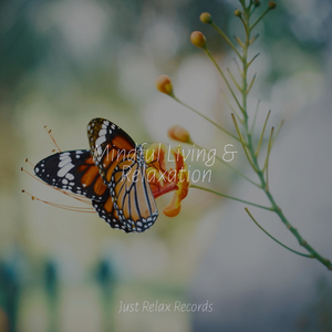 Echoes of Broken Love