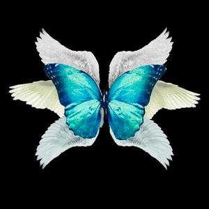 SLOWLY (feat. IamRXGE)