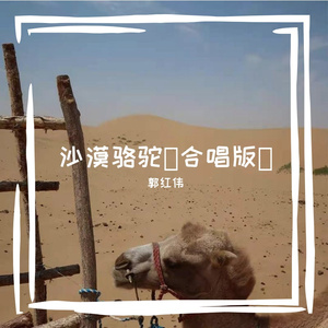 沙漠骆驼（合唱版）