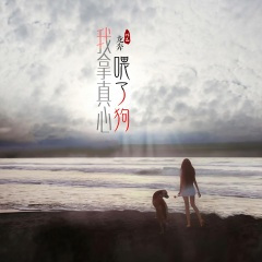 我拿真心喂了狗 (DJ宇轩版)