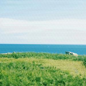 山路十八弯 (笛子曲大全纯音乐)