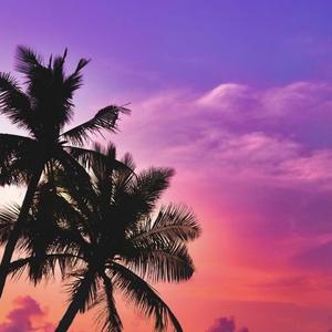 我等星辰落满怀