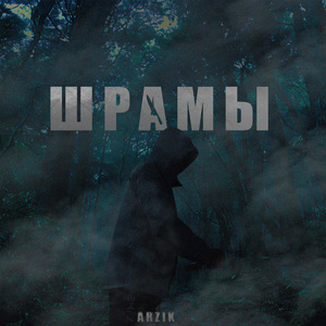 Шрамы