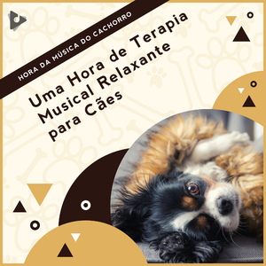 Sons pacíficos na praia