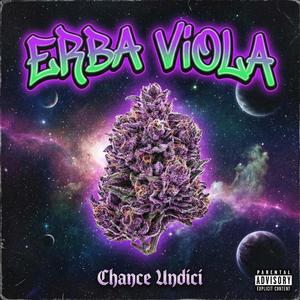 Erba viola