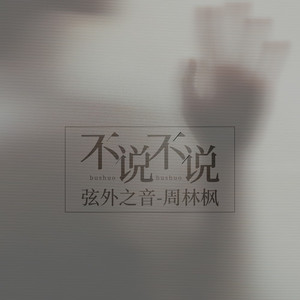 不说不说