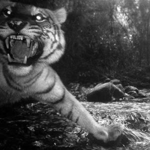 Make Him An Offer (feat. Nzoe Tha Demon)