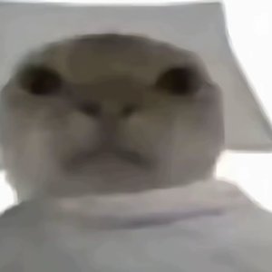 眼睛一闭就是晚上