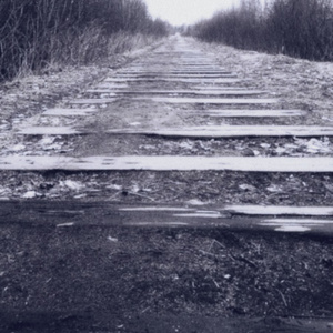 мясной поток