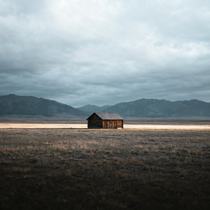 再也等不到那句回家