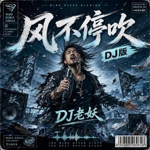 风不停吹(DJ版)