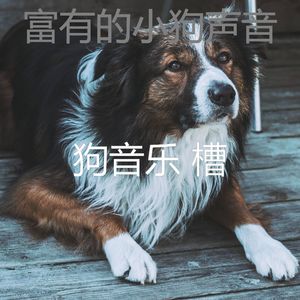 温和幼犬梦想