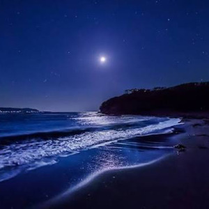 素直でいれたら