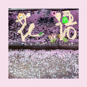 愿你不要忘记花的初衷