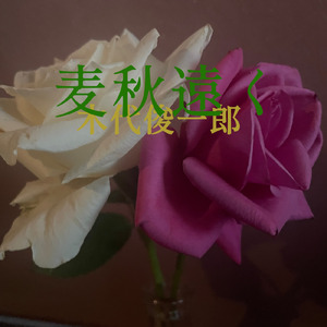 麦秋遠く