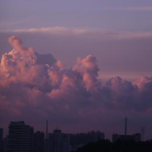 泪的告白（经典纯音乐）