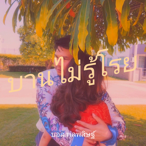 บานไม่รู้โรย