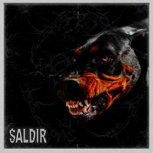 SALDIR