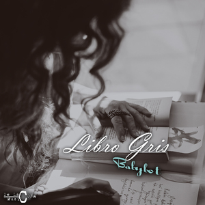 Libro Gris