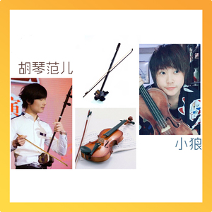 情热大陆【韶琴&小提琴.Ver】（Cover 葉加瀬太郎、小松亮太）