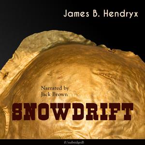 Chapter 04 - Snowdrift
