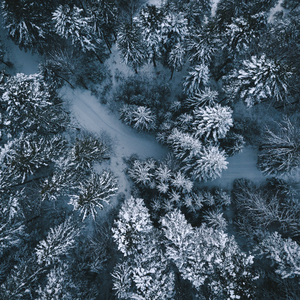 Polar Drone