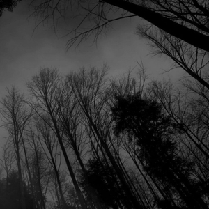 picture perfect (feat. Saidai)