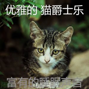 精彩小猫环境